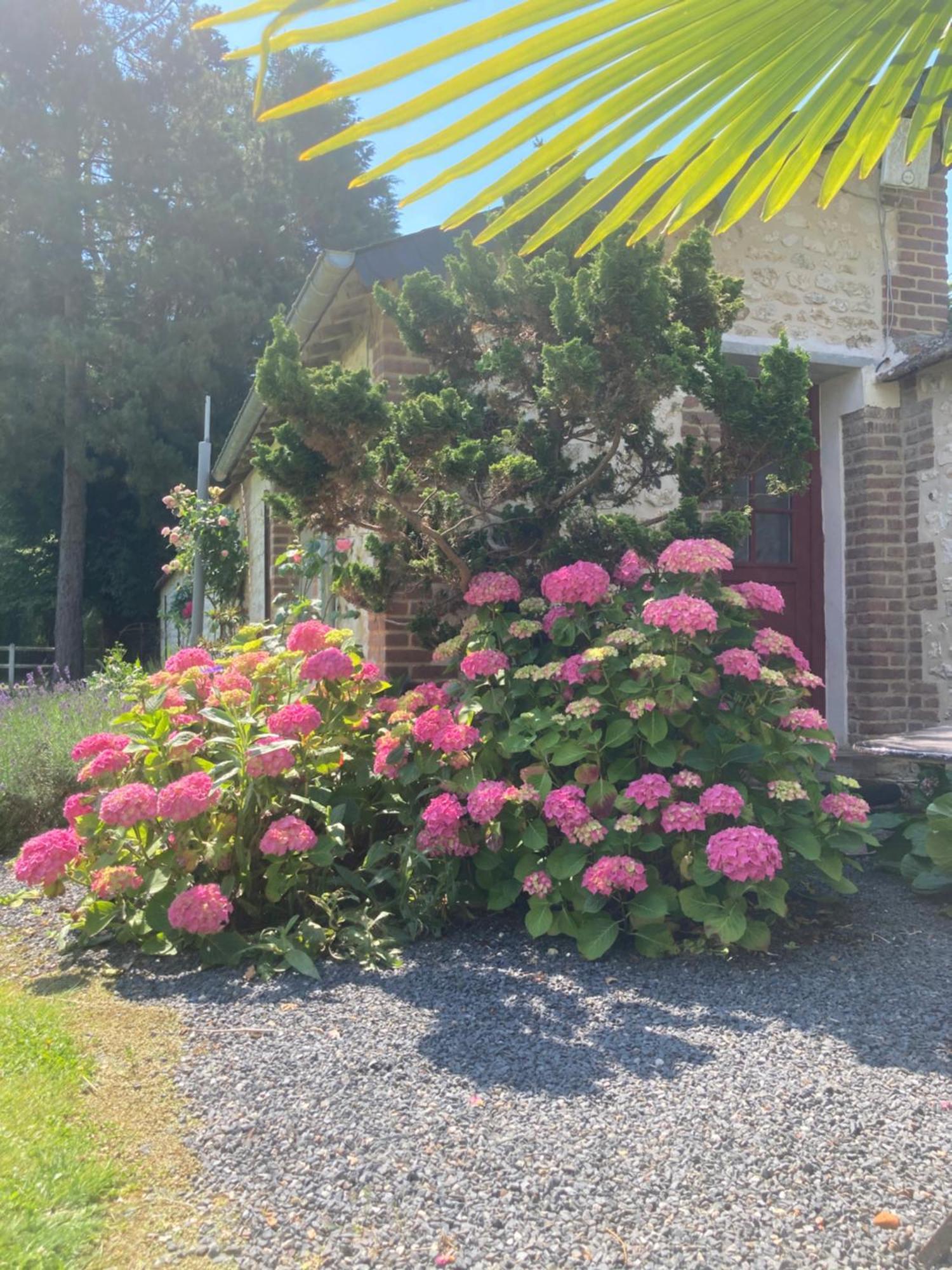 L'Oreade Amfreville-sur-Iton Exterior photo